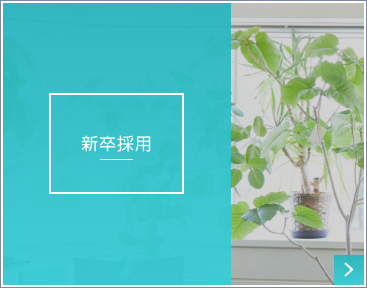 新卒採用