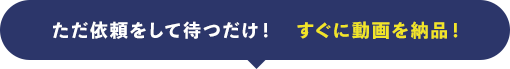 ただ依頼をして待つだけ！すぐに動画を納品！