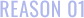 REASON 01